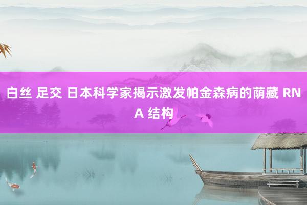 白丝 足交 日本科学家揭示激发帕金森病的荫藏 RNA 结构