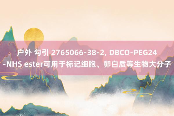 户外 勾引 2765066-38-2， DBCO-PEG24-NHS ester可用于标记细胞、卵白质等生物大分子