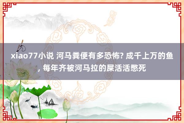 xiao77小说 河马粪便有多恐怖? 成千上万的鱼， 每年齐被河马拉的屎活活憋死