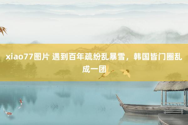 xiao77图片 遇到百年疏纷乱暴雪，韩国皆门圈乱成一团
