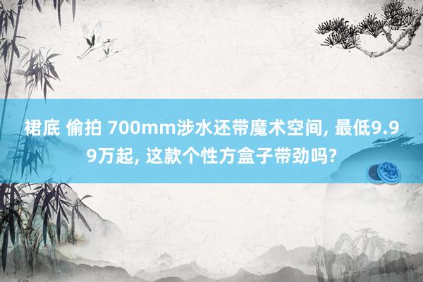 裙底 偷拍 700mm涉水还带魔术空间， 最低9.99万起， 这款个性方盒子带劲吗?
